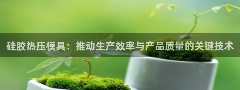 易倍纤酵素效果好吗