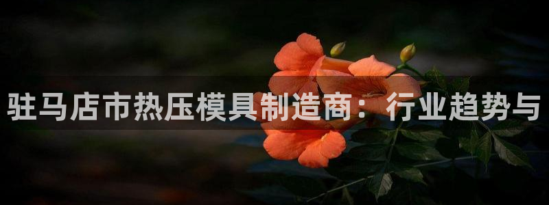 易倍emc安全吗：驻马店市热压模具制造商：行业趋势与