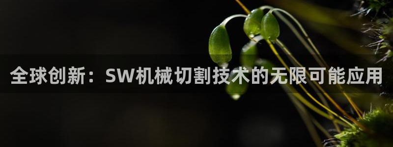 emc易倍官网首页：全球创新：SW机械切割技术的无限可能