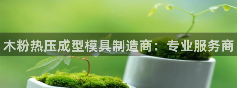 易倍网络技术有限公司是干嘛的：木粉热压成型模具制造商：专