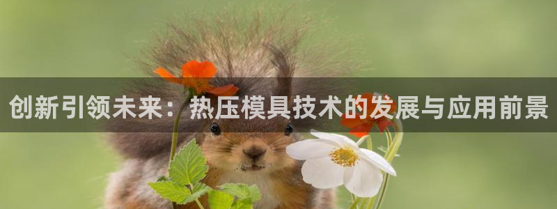 易倍电竞安装教程