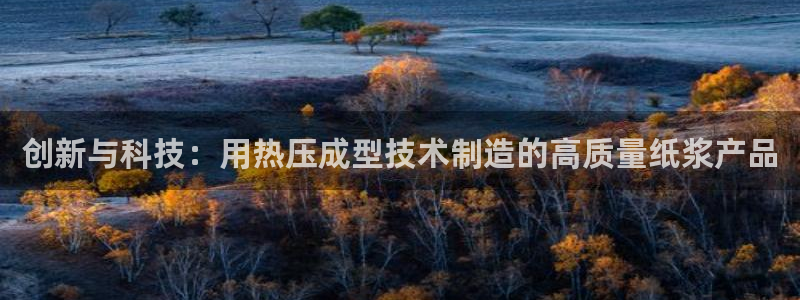 易倍申效果怎么样:创新与科技:用热压成型技术制造的高质量