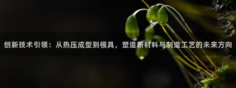 emc易倍首存500送球衣：创新技术引领：从热压成型到模