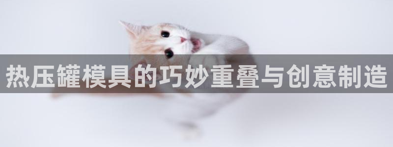 杭州易倍达上班怎么样